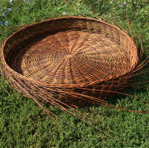 Stork nests