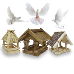 For birds