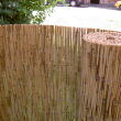 Mata trzcinowa 140x600 - 3