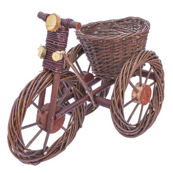 Plant stand- bicycle 30