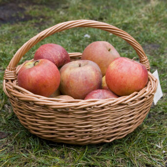 Wicker fruit basket, Owocarka 35