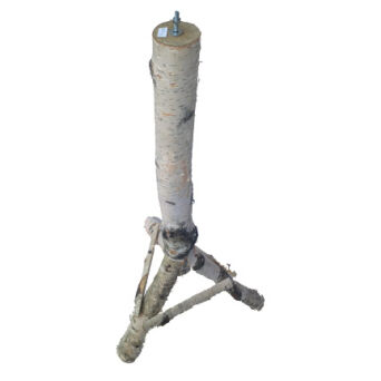 Birch stand for a bird feeder