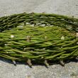 Wicker stork nest 130 - 2