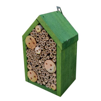 Wooden insect, House
