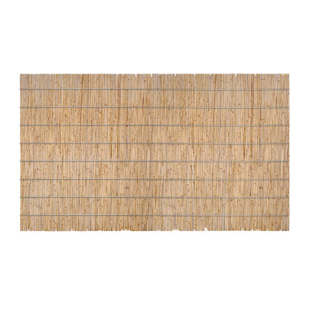 Płyta trzcinowa 125x200