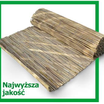 Mata trzcinowa PREMIUM 200x600
