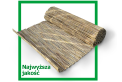 Mata trzcinowa PREMIUM 200x600