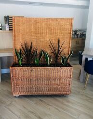 Wicker flower stand with trellis