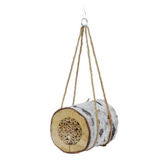Insect house